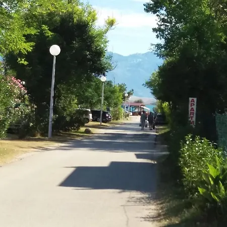 Visnja -near Queen Nin